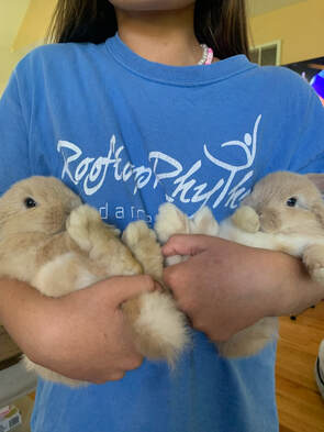 Customer with her new two baby bunnies