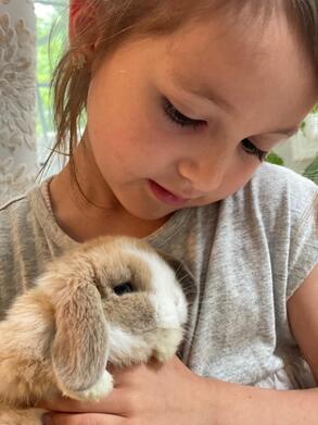 5 year old girl enjoying her new pet bunny from Lovely Bunny's